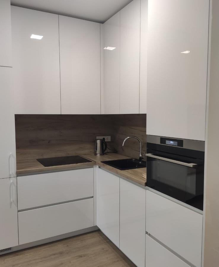 Apartment Ainiai Panevėžys المظهر الخارجي الصورة